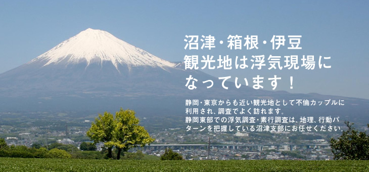 静岡・東京からも近い観光地として不倫カップルに利用され、調査でよく訪れます。 静岡東部での浮気調査・素行調査は、地理、行動パターンを把握している沼津支部にお任せください。